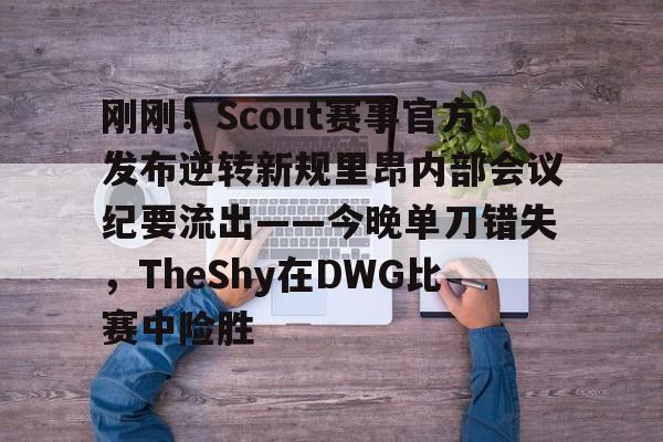 爱游戏入口-scout李汭璨