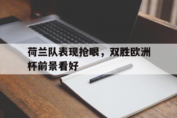 AYX爱游戏中国-荷兰队欧洲杯前瞻